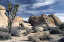 Parque Nacional de Joshua Tree