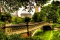 Ponte Bow, Central Park, NYC