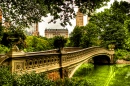 Ponte Bow, Central Park, NYC