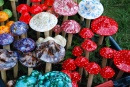 Cogumelos Mágicos