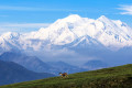 Parque Nacional e Reserva de Denali