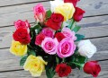 Rosas do Dia das Mães