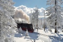 Locomotiva a Vapor, Montanhas Harz