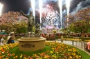 Fogos de Artifício do Castelo da Disneylândia
