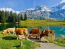 Lago Retaud, Alpes Suíços