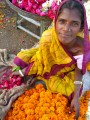 Vendedora de Flores no Bazar Indiano