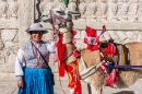 Lama em Arequipa, Peru