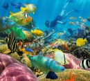 Recife de Corais com Peixes Tropicais