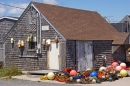 Buoys and Ropes at Peggy's Cove
