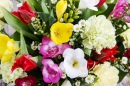 Bouquet de Freesias, Cravos e Tulipas