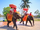 Passeio de Elefante em Ayutthaya, Tailândia