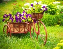 Bicicleta Velha com Cesta de Flores