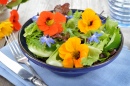 Salada de Verão Fresca com Chagas