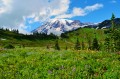 Monte Rainier