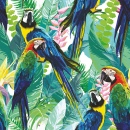 Papagaios Coloridos e Flores Exóticas