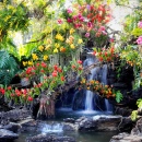 Cachoeira no Jardim