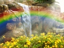 Arco-íris Sobre uma Cachoeira