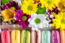 Flores e Macaroon