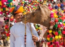 Camelo e seu Dono, Pushkar, Índia