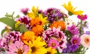 Bouquet de Flores Brilhantes