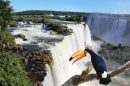 Cataratas do Iguaçu e um Tucano Gigante