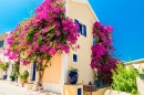 Casa Grega com Flores