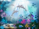 O Mundo Subaquático com Golfinhos