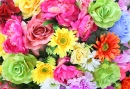 Flores Coloridas Brilhantes