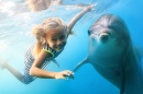 Mergulho com Golfinhos