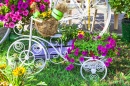 Arranjo Floral na Bicicleta