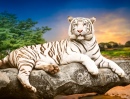 Tigre Branco de Bengala