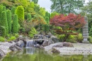 Jardim Japonês em Bonn, Alemanha