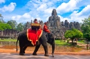 Elefante no Angkor Wat, no Camboja