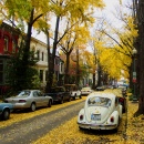 Outono em DC