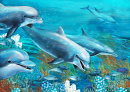 Golfinhos Felizes
