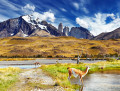 Parque Nacional Torres Del Paine, Chile