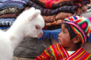Um Menino e um Lama. Arequipa, Peru