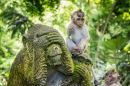 Floresta Sagrado do Macaco de Ubud, Bali