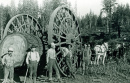 1895 - Lenhadores Profissionais na Califórnia