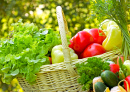 Vegetais Frescos