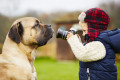 Menino Fotografando seu Cão