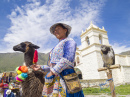 Mulher indiana de Quechua com Alpaca
