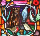 Vida Selvagem Local, Dornoch Cathedral