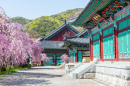 Palácio de Gyeongbokgung, Coréia