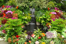 Jardim Tropical com Flores Coloridas