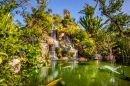 Lagoa de Carpas em um Jardim Japonês