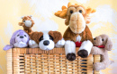 Caixa Cheia de Brinquedos para Animais