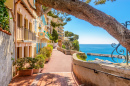Vila Mônaco, Monte Carlo, França