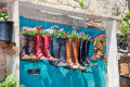 Potes de Flores de Botas Velhas