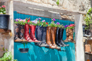 Potes de Flores de Botas Velhas